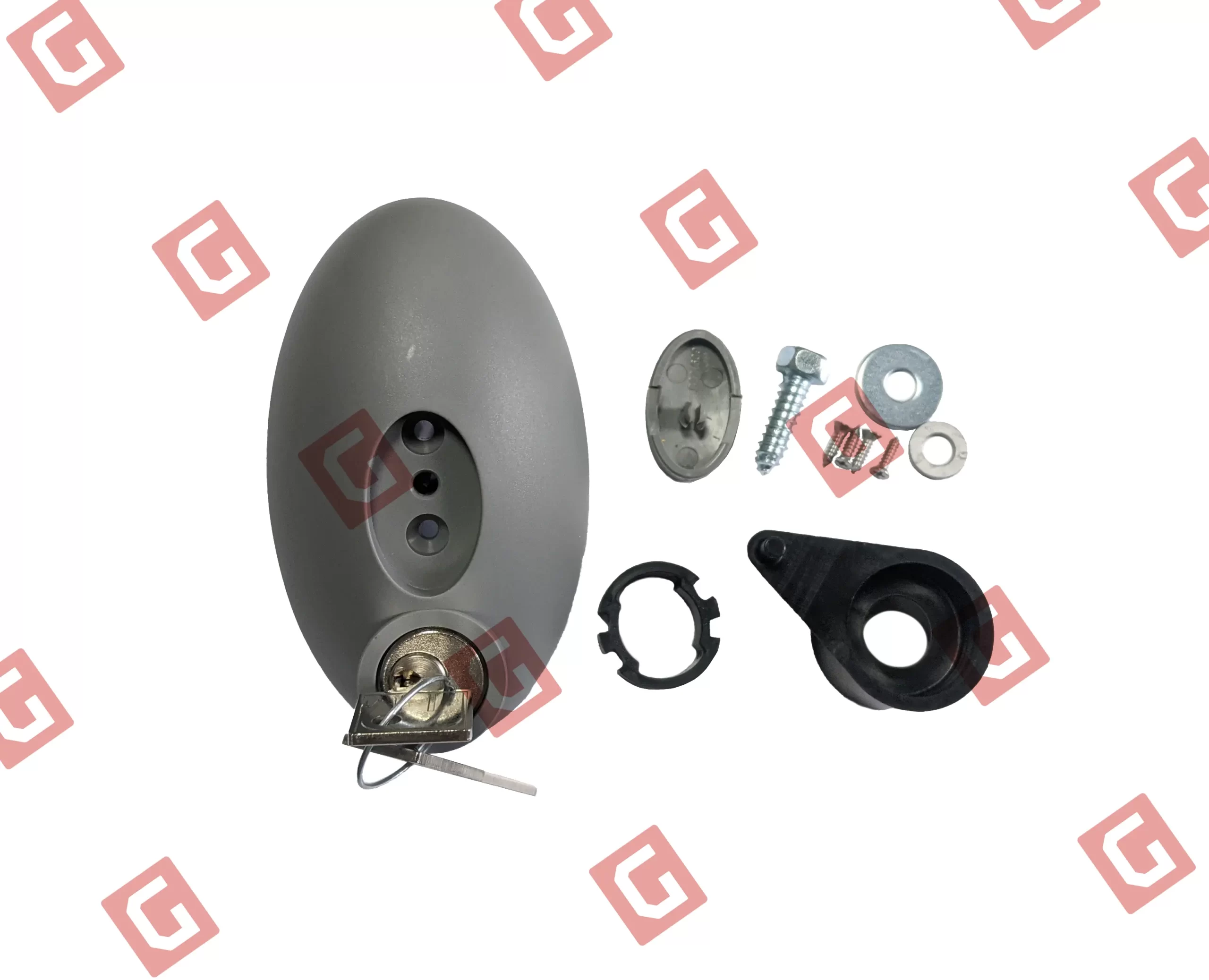 Важіль розблокування (сірий) + 2 ключі IGEA BT (24V)