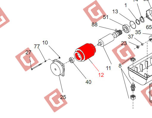 Статор IGEA (230V)